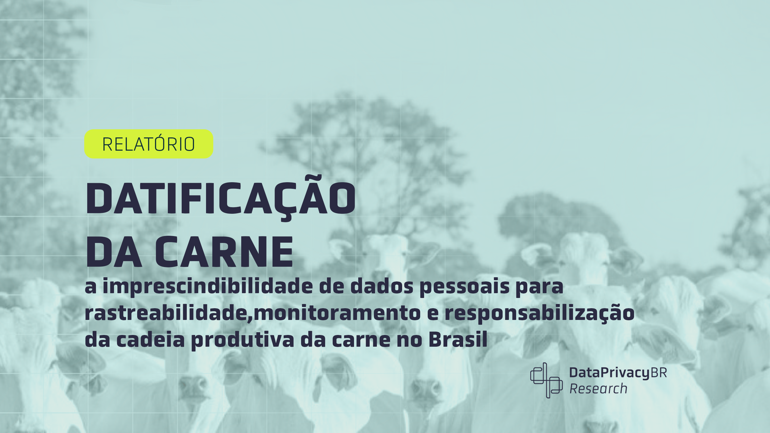 Trilha